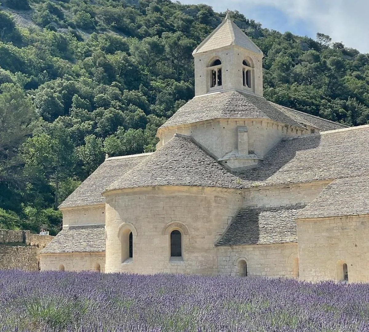 Quiet Provencal Bastide With Pool Villa Lauris France
